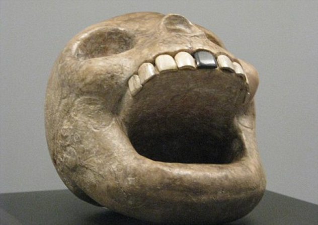 Monkey-Shaped Skull