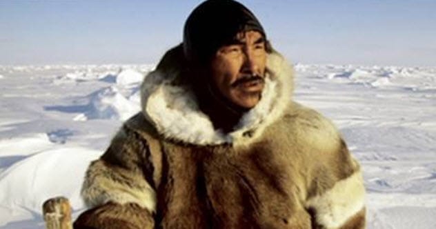 10 Incredible Stories Of Survival In The Arctic - Listverse