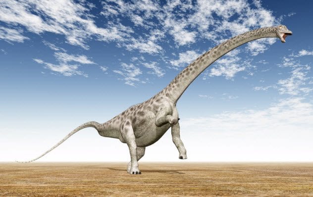 3a-diplodocus_66061817_small