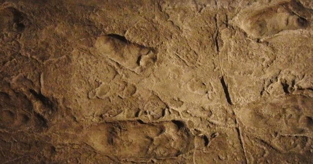 laetoli-footprints