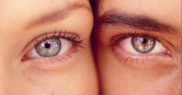 10 Eye-Popping Facts About Vision - Vimarsana News