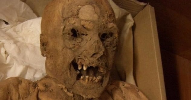 10 Secrets Buried In Crypts - Listverse - Vimarsana News