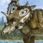 10 Prehistoric Bugs That Could Seriously Mess You Up - 17