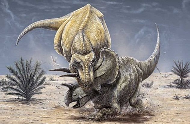 2-t-rex-decapitating-triceratops