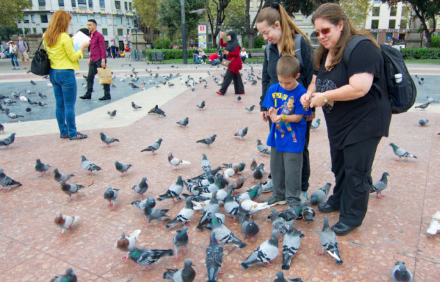6-feeding-pigeons_000051140336_Small