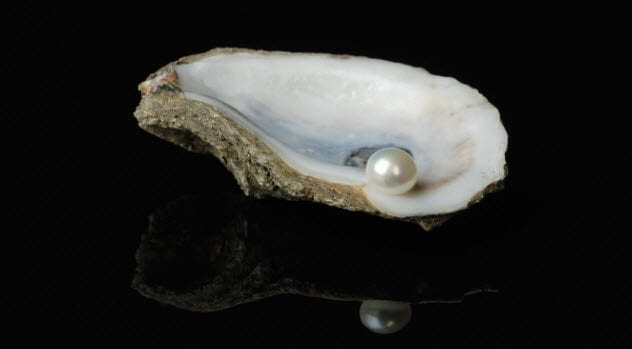 6a-pearl-in-oyster-shell-121119237