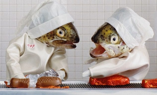 fish-head-diorama