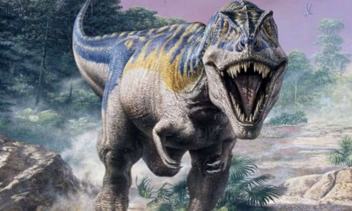 Sensitive T. rex? This new dino might change the face of