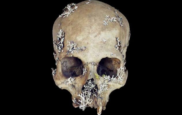 8-skull-lichen