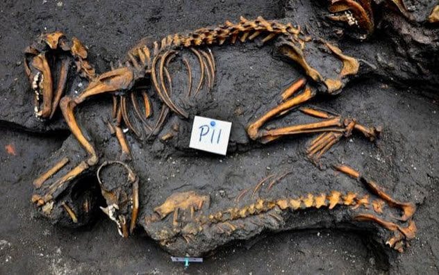 6-aztec-dog-burial