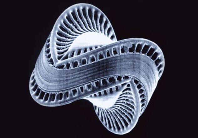 9a-diatom