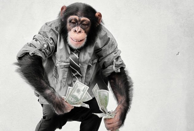 7-monkey-with-cash