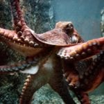 10 Things That Will Make You Rethink Everything Normal