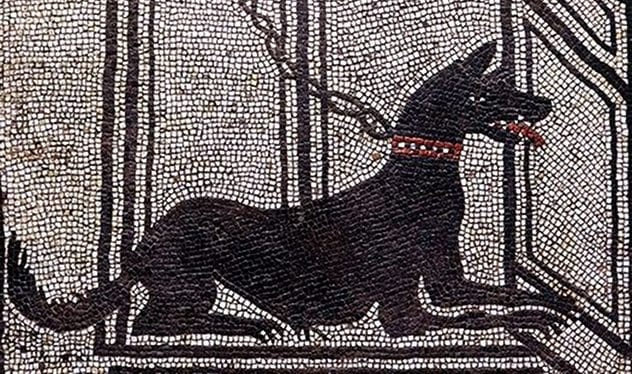 mosaic dogS