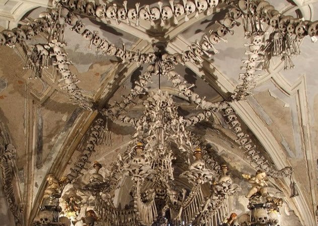 8-sedlac-bone-chandelier