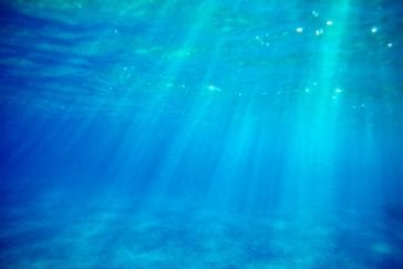 Top 10 Bizarre Facts About The Ocean Deep - Listverse