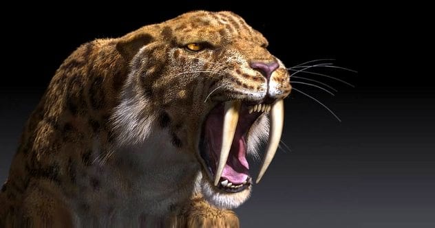 Top 10 Extinct Animals That Scientists Want To Bring Back - Listverse