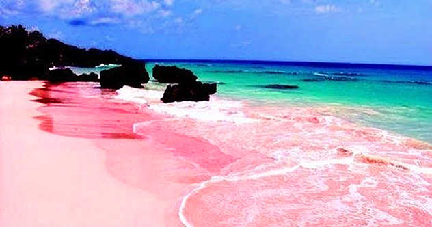 Top 10 Pink Wonders Of The Natural World - 37