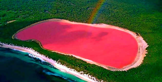 Top 10 Pink Wonders Of The Natural World - 63