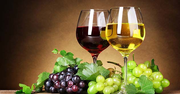 10 Popular (and Weird) Ancient Foods