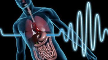 Top 10 Crazy Storage Unit Finds Listverse