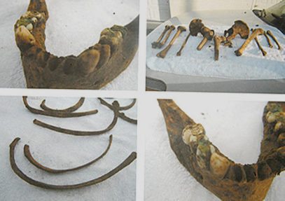 Top 10 Crazy Storage Unit Finds Listverse