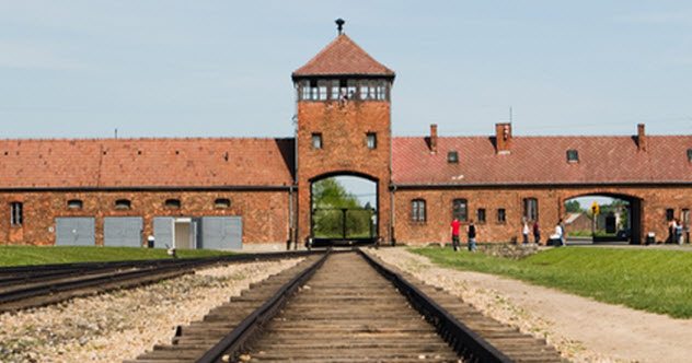 10 Remarkable People Who Escaped From Auschwitz - Vimarsana News