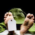 10 Ways The Dead Can Help The Living After They Are Gone