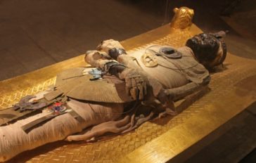 10 Fascinating Facts About Corpse Fashion - Listverse