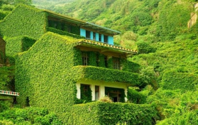 10 Abandoned Places Being Reclaimed By Nature - Listverse