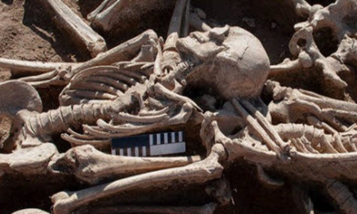 Top 10 Rare Finds From Mass Graves And Battlefields