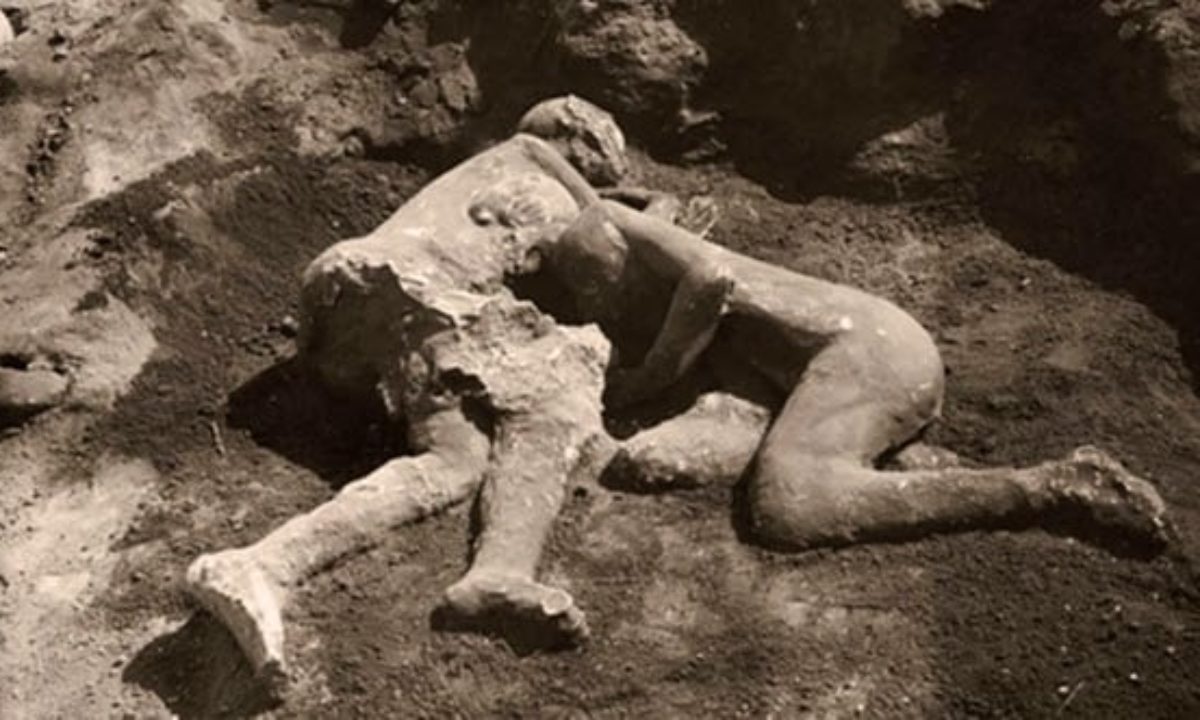 pompeii animal bodies
