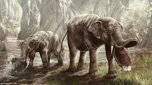 10 Awesome Extinct Animals People Don't Talk About Nearly Enough - Listverse