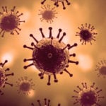 Top 10 Viral Facts About Viruses