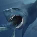 10 Fascinating Facts About The Frightening Megalodon