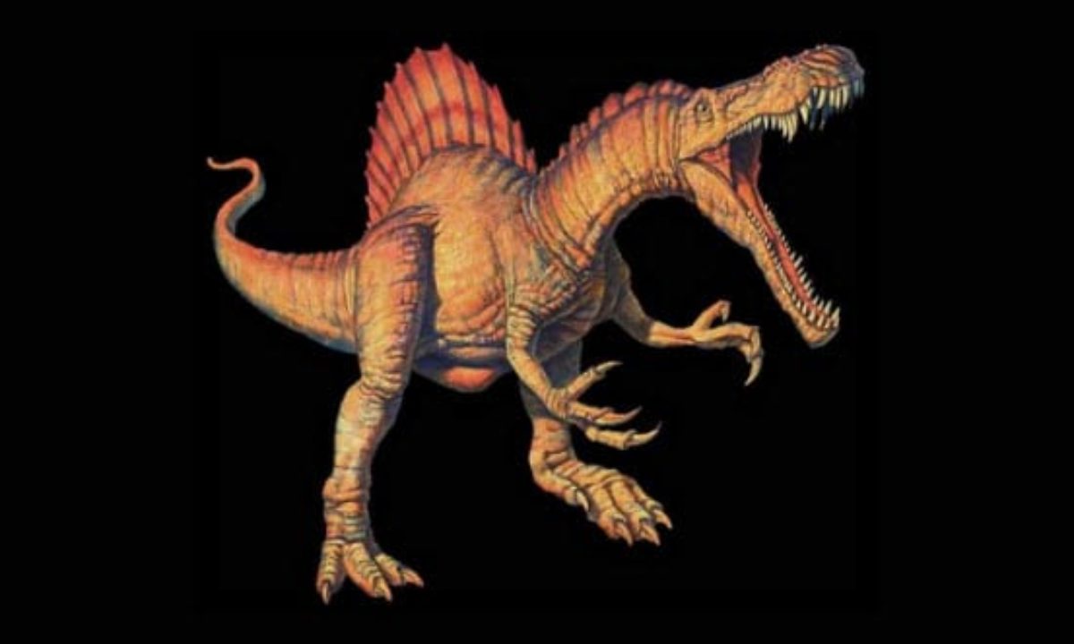 Dromaeosaur  Carnivorous Bipedal Dinosaur, Feathered Species