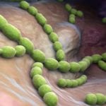 10 Nightmarish Flesh-Eating Pathogens That Consume Humans