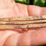 10 Times Small Artifacts Surprised Archaeologists