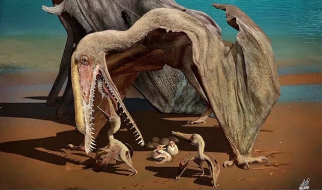 Fossil of oldest pterodactyl discovered in Utah desert