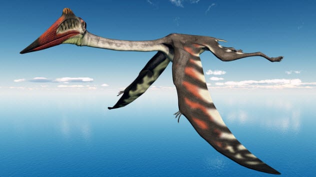 Why Pterosaurs Were the Weirdest Wonders on Wings