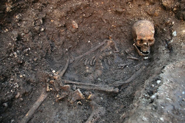 10 Shocking Discoveries We Uncovered From Analyzing Ancient DNA - 56