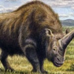 10 Little-Known Prehistoric Beasts With Incredible Claims To Fame
