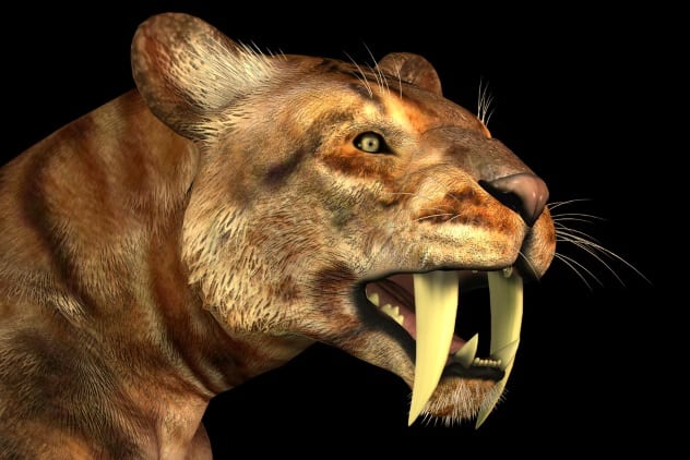 10 Animals That Hunted Our Ancestors - 70