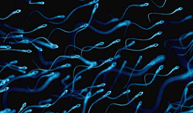 Le top 10 des traitements médicaux dégoûtants et inattendus 9-sperm