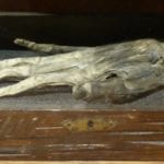 10 Real Objects With Alleged Supernatural Powers