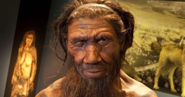 10 Surprising Facts You Never Knew About Neanderthals - Listverse