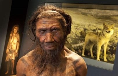 10 Surprising Facts You Never Knew About Neanderthals - Listverse