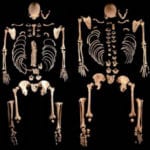 10 Times Bones Gave Rare Glimpses Into The Past