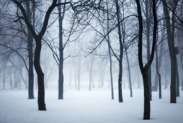 iStock 646615282 10 misterios espeluznantes del triángulo de Bennington