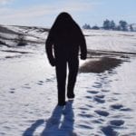 10 Yeti Reports Involving More Than Footprints